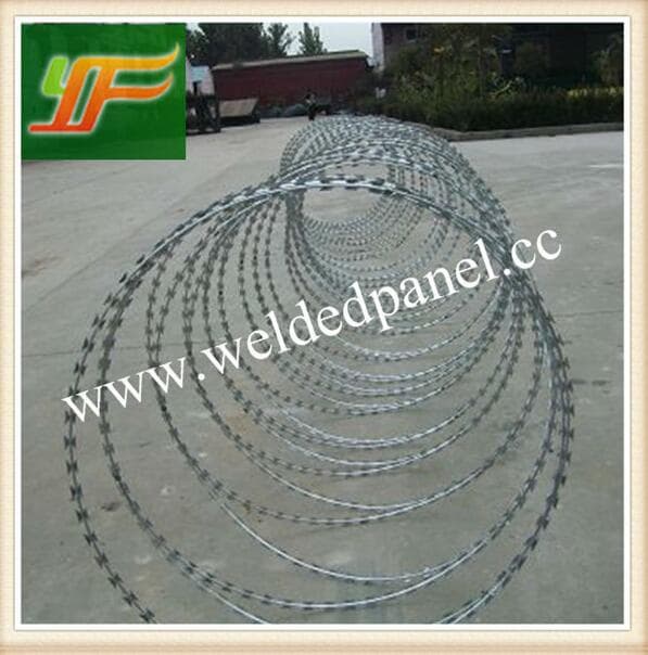 Galvanized Razor Wire_ PVC coated barbed wire
